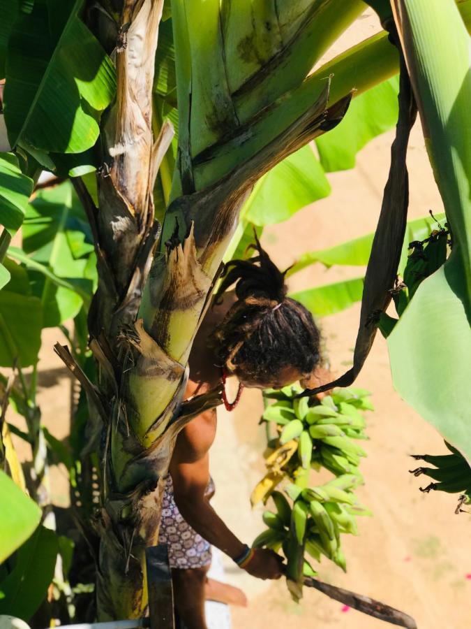 Pousada Tangerina Icaraí Exteriér fotografie